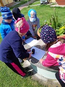 Tvoříme obrázky z pampelišek